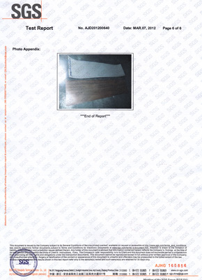 香蕉在线播放檢查報告SGS（英）