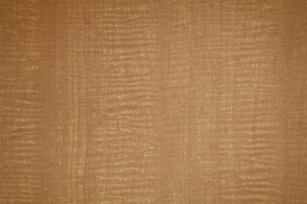 香蕉视频污视频防火板